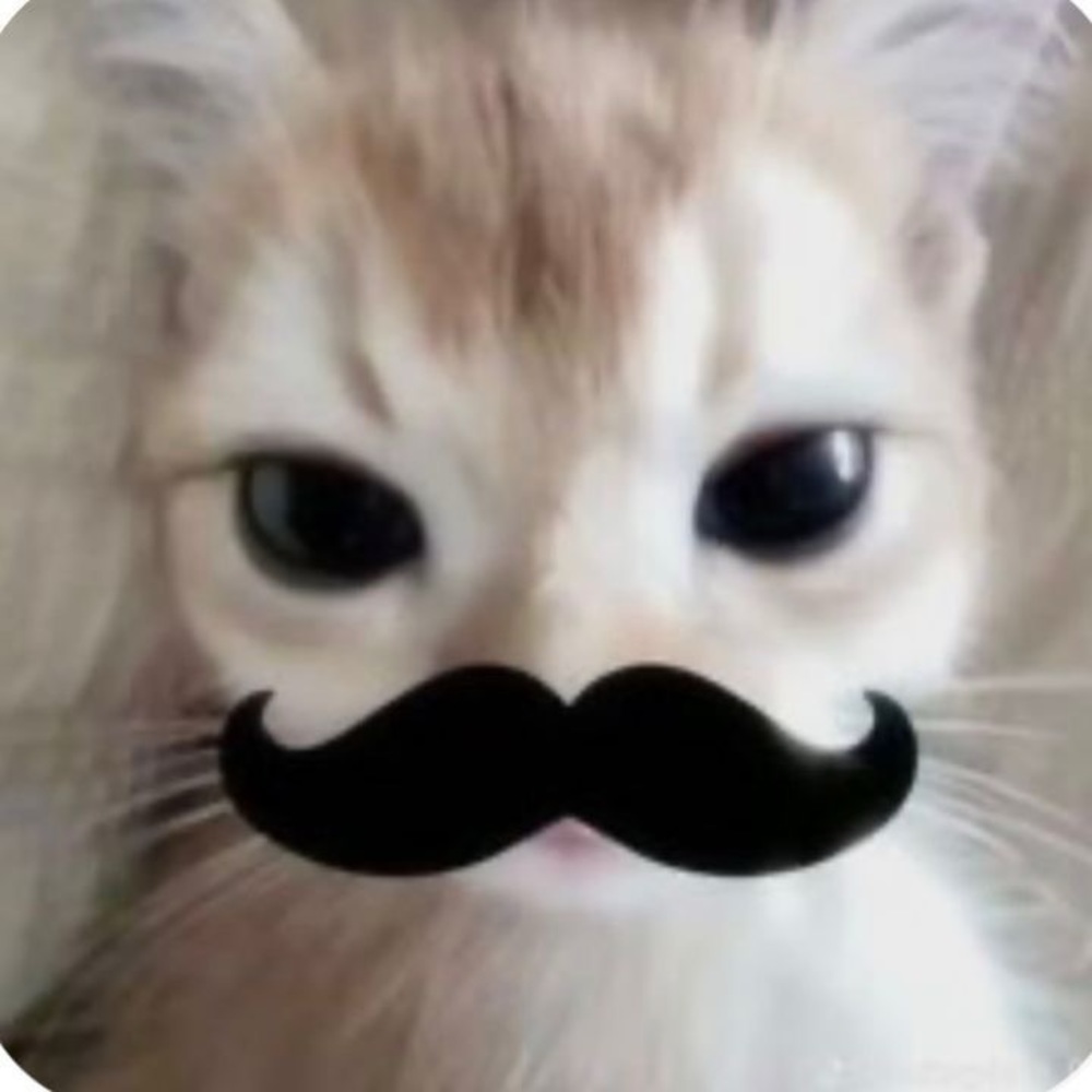 Meet your Posher, Aubrey